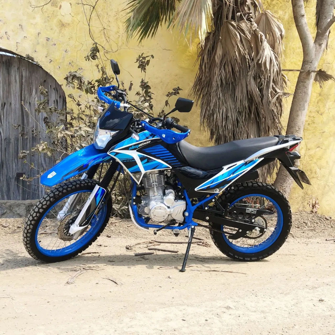 Enduro Dual-Sport DM250 5